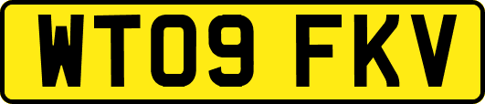 WT09FKV