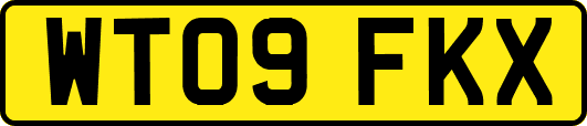 WT09FKX