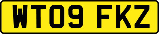 WT09FKZ