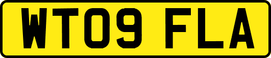 WT09FLA