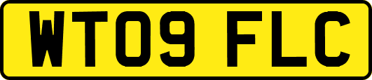 WT09FLC