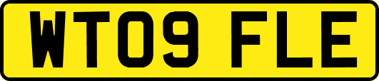 WT09FLE