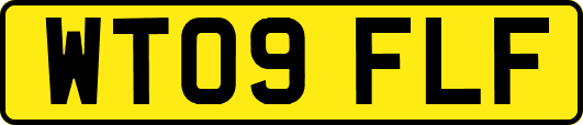 WT09FLF