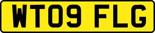 WT09FLG