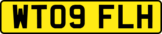 WT09FLH