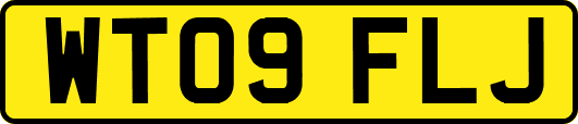WT09FLJ