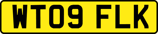 WT09FLK