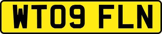 WT09FLN