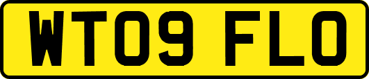 WT09FLO