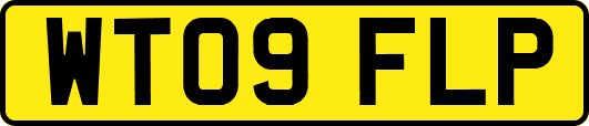 WT09FLP