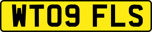 WT09FLS