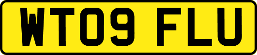 WT09FLU