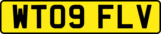 WT09FLV