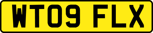 WT09FLX