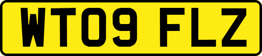 WT09FLZ
