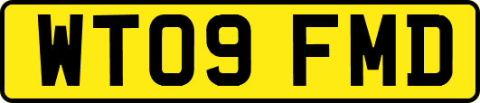 WT09FMD