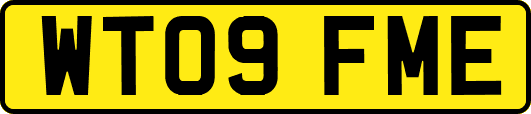 WT09FME