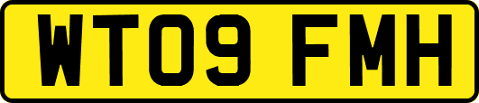 WT09FMH