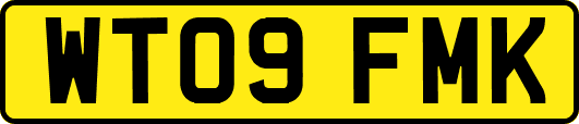 WT09FMK