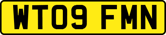 WT09FMN