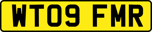 WT09FMR