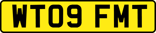 WT09FMT