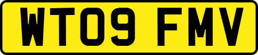 WT09FMV