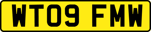 WT09FMW