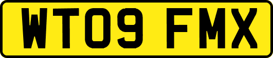 WT09FMX