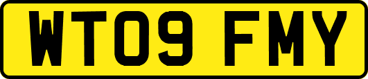 WT09FMY