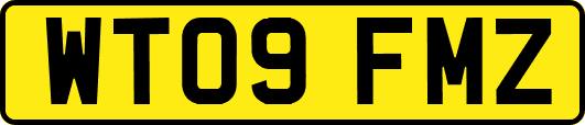 WT09FMZ