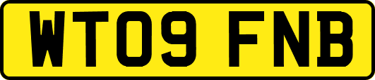 WT09FNB