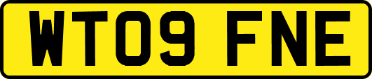 WT09FNE