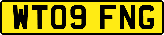 WT09FNG