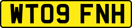 WT09FNH