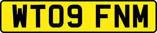 WT09FNM