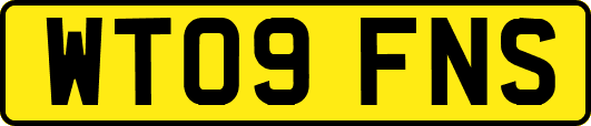 WT09FNS