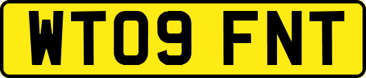 WT09FNT