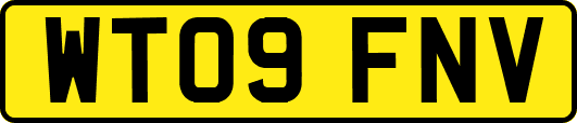 WT09FNV