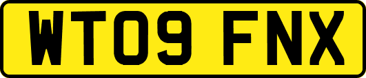 WT09FNX