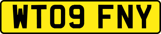 WT09FNY