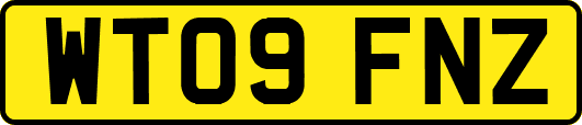 WT09FNZ