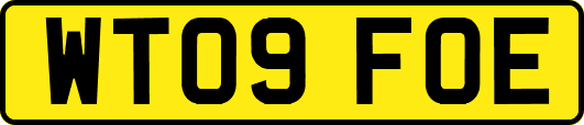 WT09FOE