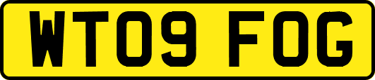 WT09FOG