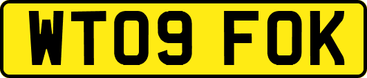 WT09FOK