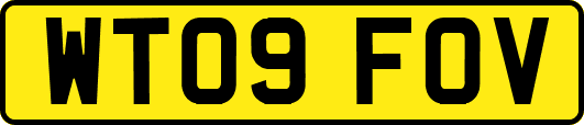 WT09FOV