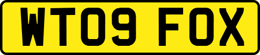 WT09FOX