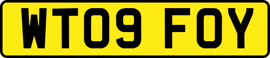 WT09FOY