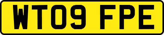 WT09FPE