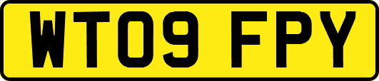 WT09FPY